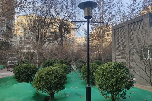 雙槐里小區(qū)居住體驗(yàn)與周邊經(jīng)紀(jì)服務(wù)觀察